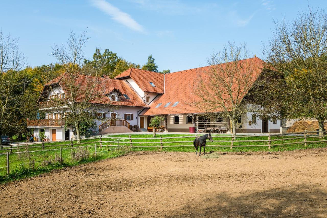 Apartment Zynga - Stud Farm Sentvid Pri Sticni المظهر الخارجي الصورة