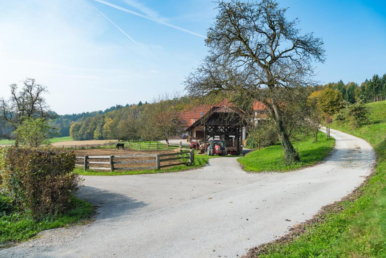 Apartment Zynga - Stud Farm Sentvid Pri Sticni المظهر الخارجي الصورة