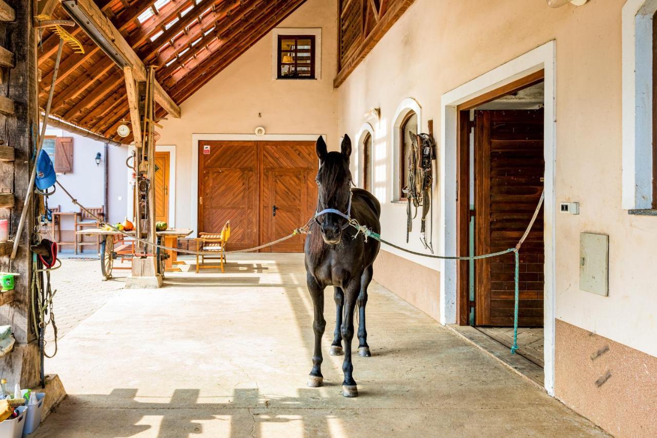 Apartment Zynga - Stud Farm Sentvid Pri Sticni المظهر الخارجي الصورة